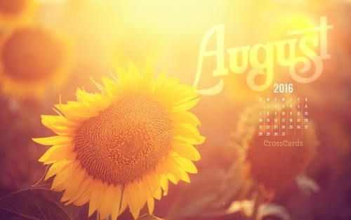 August 2016 - Sunflower