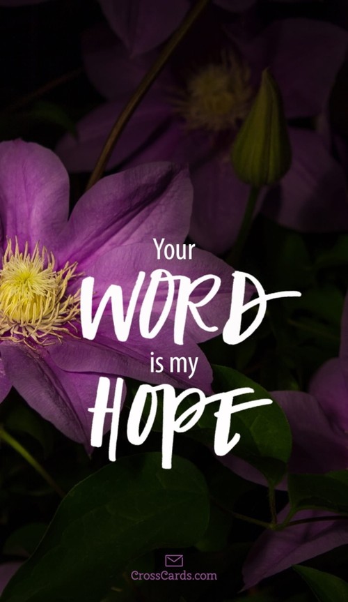 Your Word is My Hope