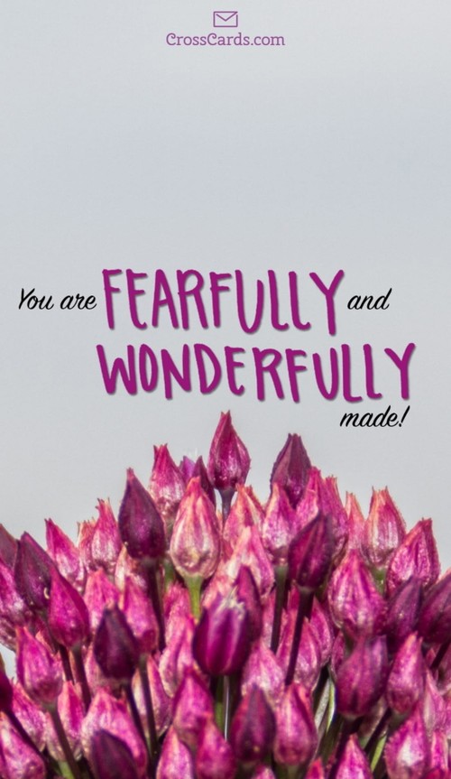 You are Fearfully and Wonderfully Made