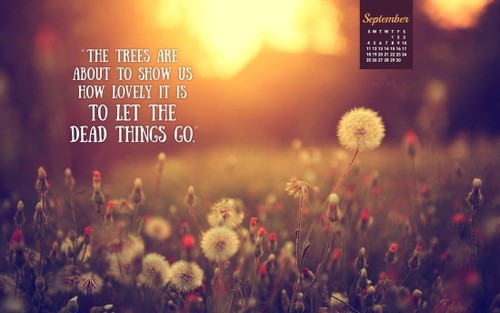 September 2016 - Let Things Go
