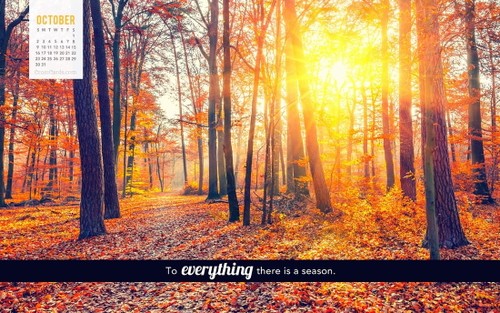 October 2016 - To Everything there is a Season