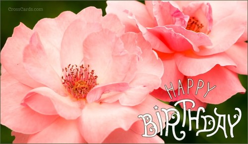 Free Birthday eCards - The Best Happy Birthday Cards Online