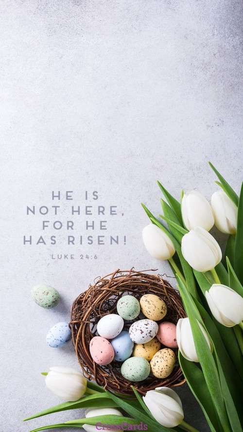 He Has Risen