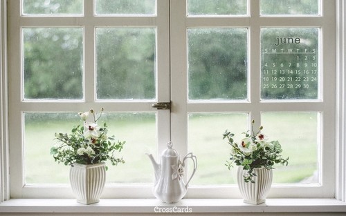 June 2017 - View from the Window