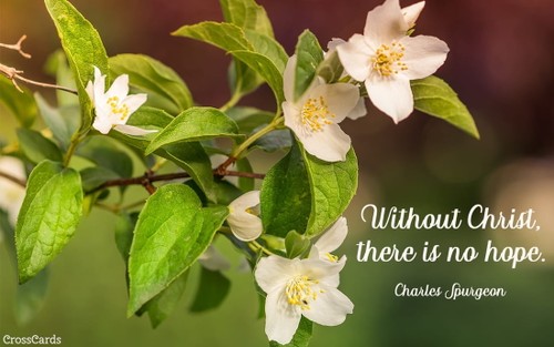 Christ is Our Hope