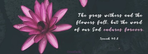 God's Word Endures Forever - Isaiah 40:8