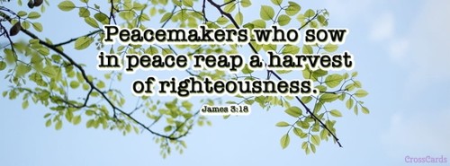 James 3:18