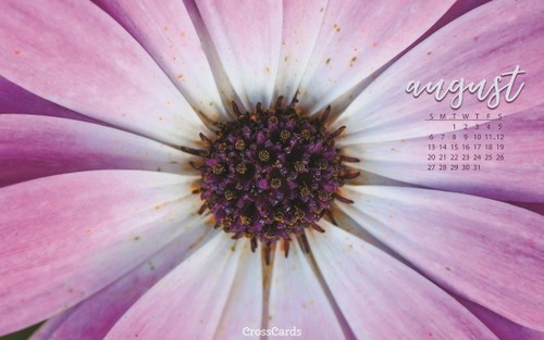 August 2017 - Bloom