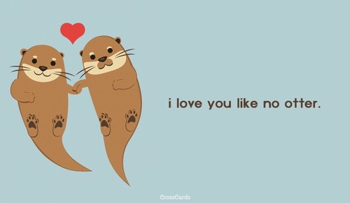 No Otter
