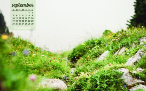 September 2017 - Wildflowers