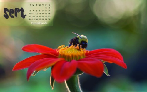 September 2017 - Bloom + Bee