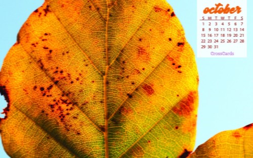 October 2017 - Fall Leaf