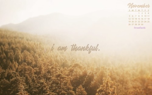 November 2017 - I Am Thankful