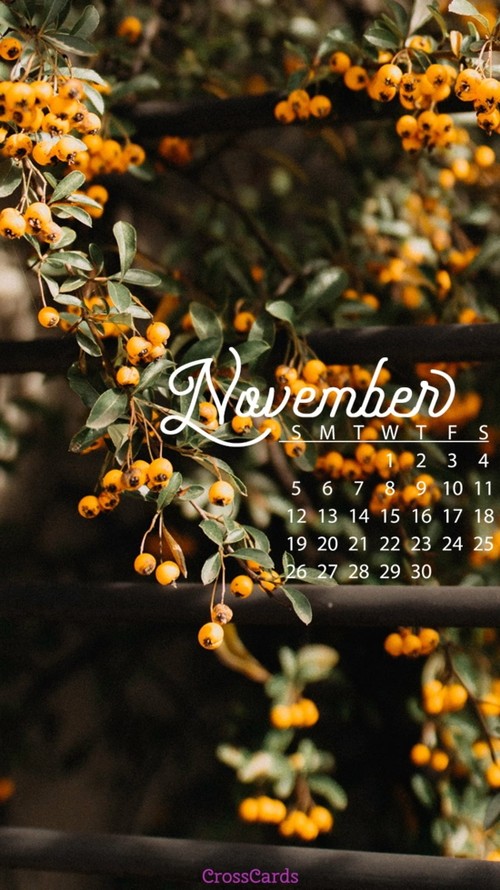 November 2017 - Fall Berries