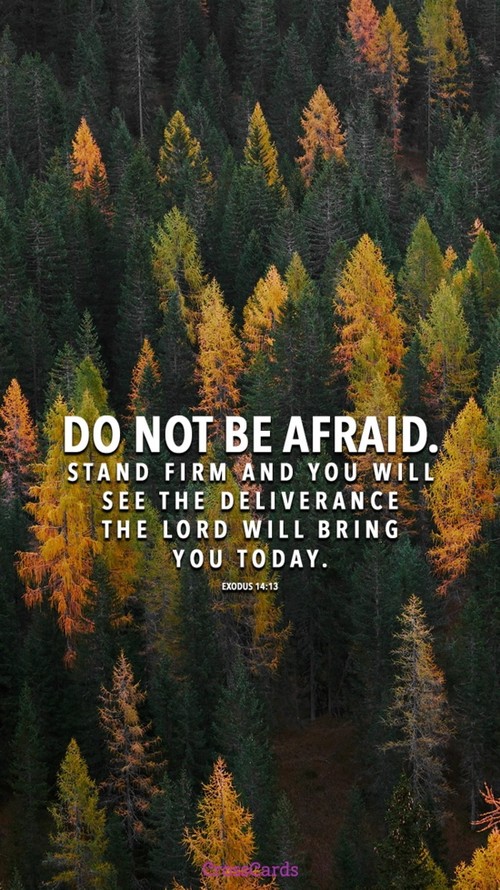 Exodus 14:13