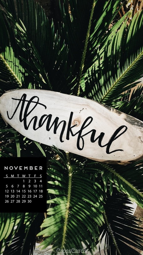November 2017 - Thankful