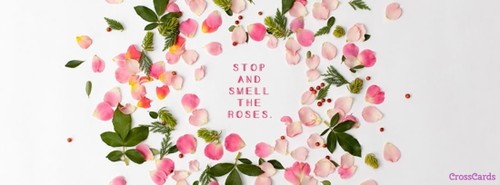 Stop and Smell the Roses