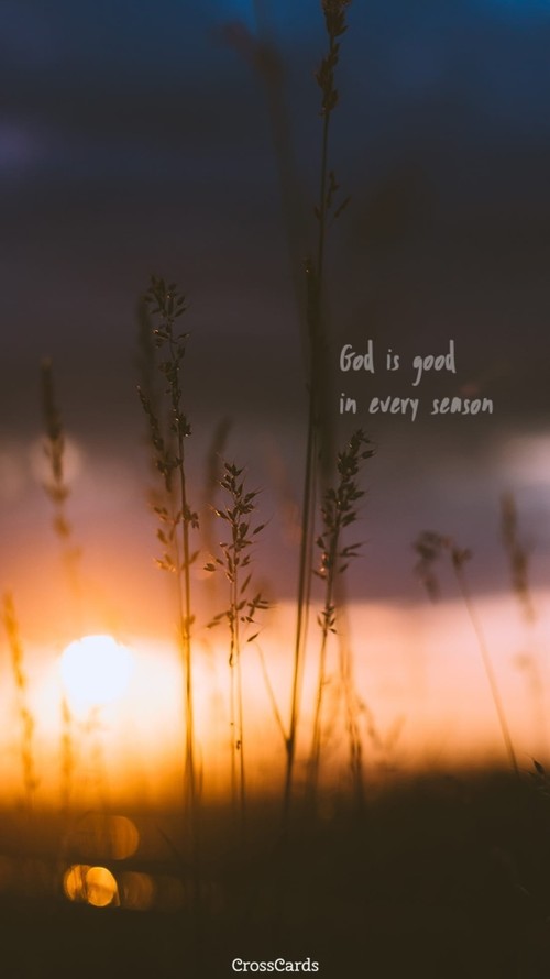 In Every Season