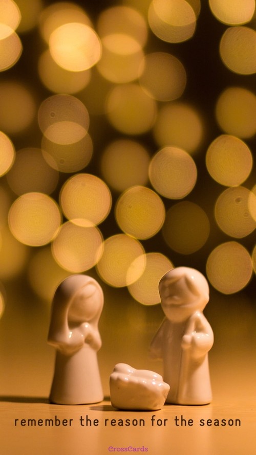 Reason for the Season