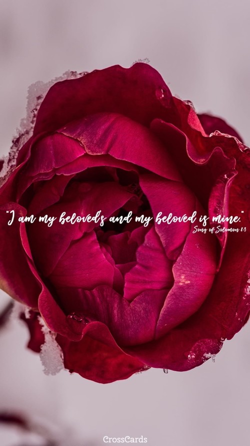 Beloved
