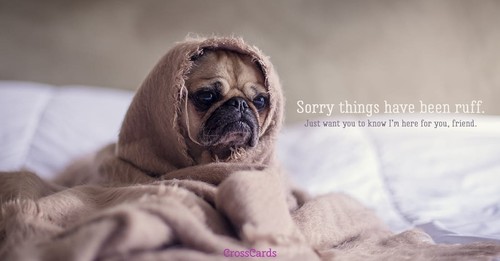 Ruff