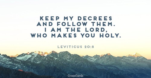Leviticus 20:8