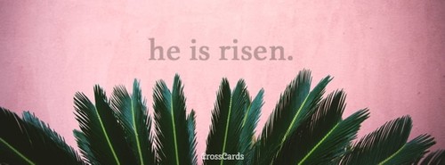 He is Risen.