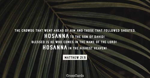 Matthew 21:9