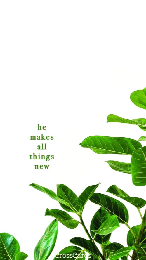 All Things New