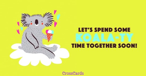 Koala-ty Time