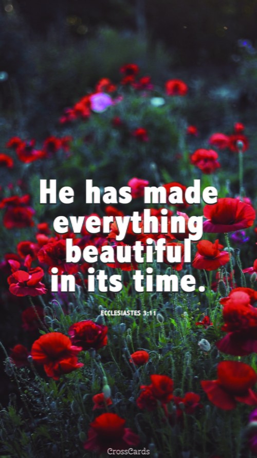 Ecclesiastes 3:11