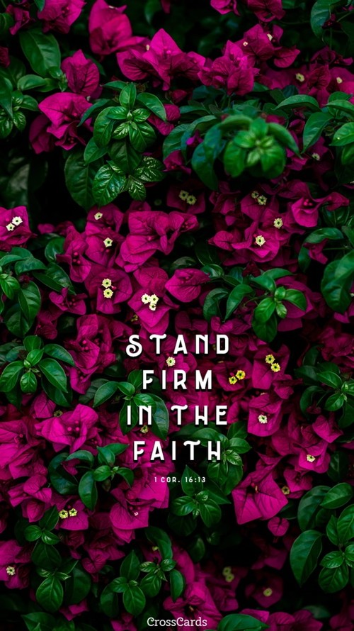 Stand Firm