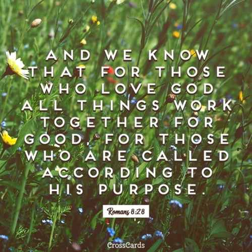 Romans 8:28