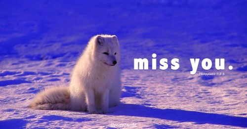 Miss You