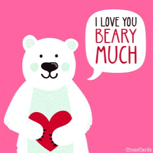 Beary Much