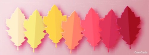 Fall Leaves