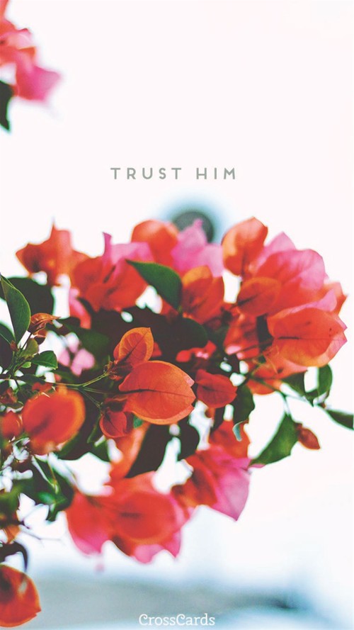 Trust Him