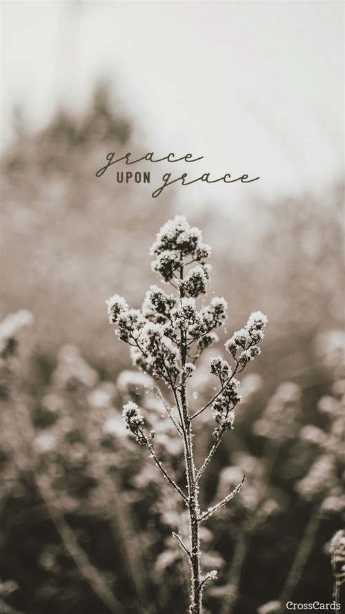 Grace upon Grace