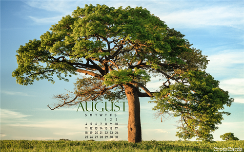 August 2019 - Shade Tree