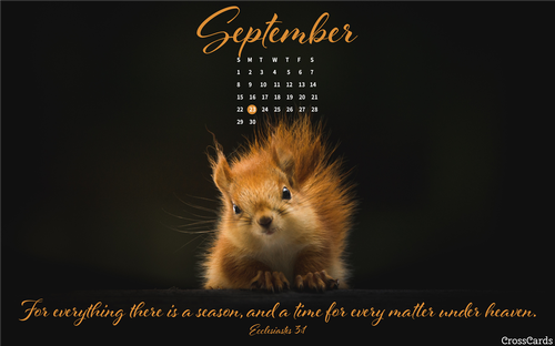 September 2019 - For Everything There is a Season