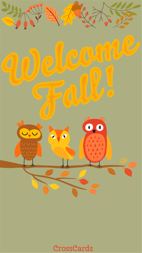 Welcome Fall Owls!