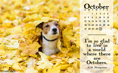 October 2019 - A World Where There are Octobers