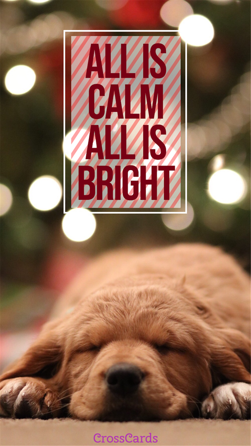 All is Calm, All is Bright