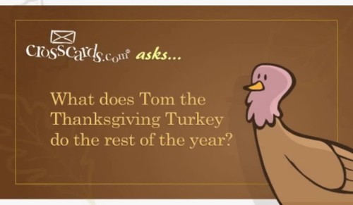Turkey Off Season