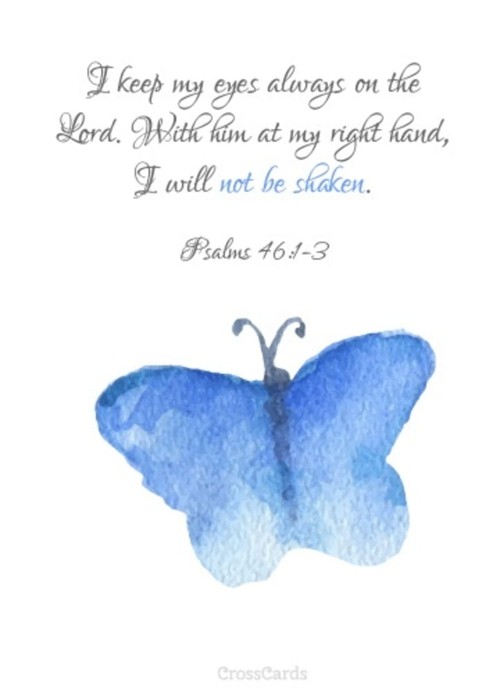 I Will Not be Shaken! 