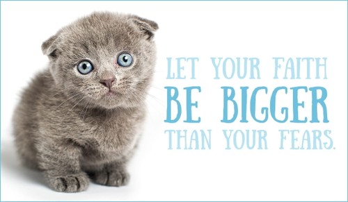 Let Your Faith be Bigger Than Your Fear 