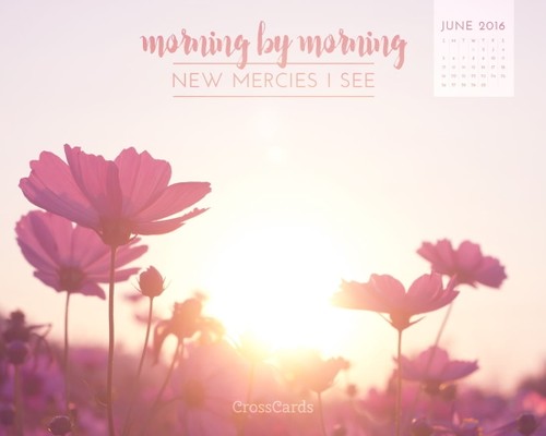 June 2016 - New Mercies I See