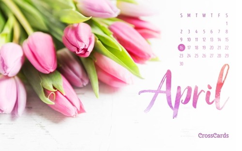 April 2017 - Tulips	