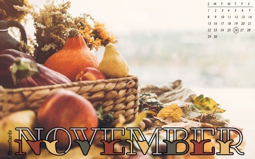 November 2020 - Cornucopia