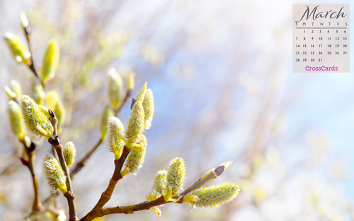 March 2021 - Spring Buds